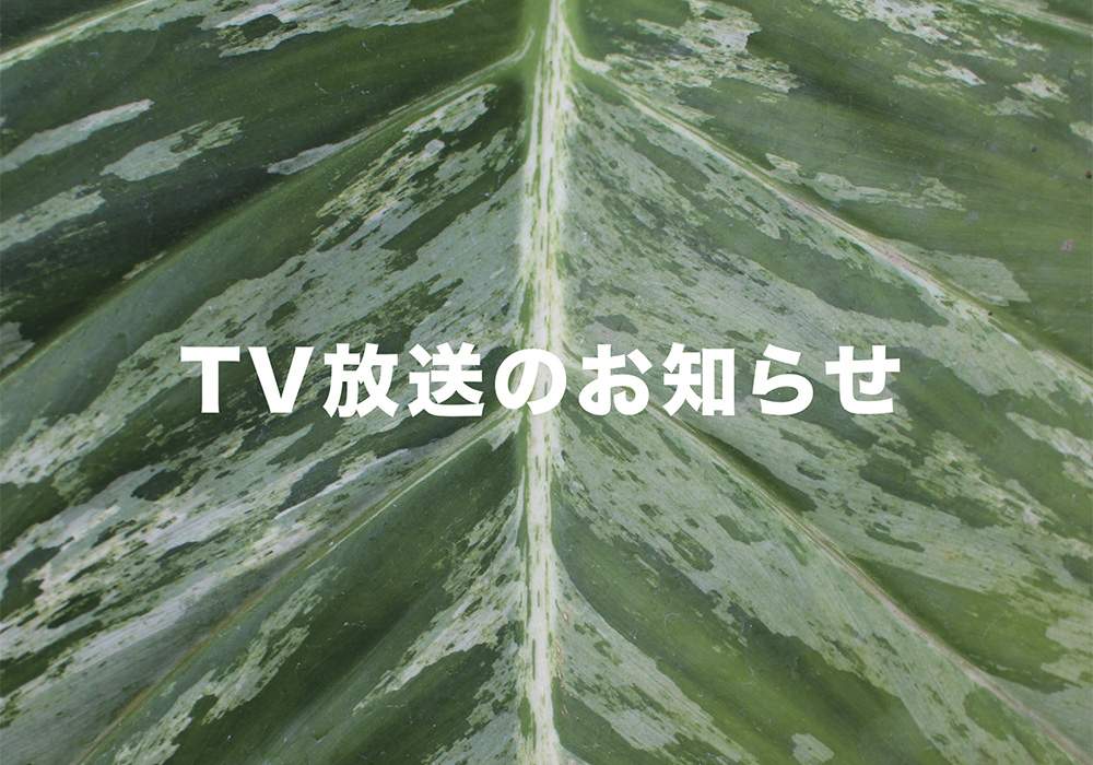 の画像 by そら広場(そら植物園オフィシャルクラブ)さん | そら植物園とプラントハンターとそら植物園 オフィシャルクラブ「そら広場」と植物と西畠清順とそら広場とメディア掲載