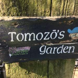 tomozo's garden