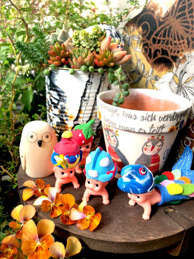 バルコニー/ベランダの画像 by くるとん**さん | バルコニー/ベランダと多肉植物とたにおたくらぶNo.147と観葉植物とヒヤミカチ首里城!と多肉の寄せ植えと神奈川タニラーとベランダガーデンとno green no lifeと幸せを呼ぶフクロウ祭りと緑のある暮らしとほーちゃんQPと多肉ラボ©とたにおたくらぶと繋がりに感謝✨とフクロウ祭