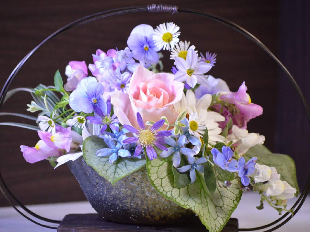 部屋の画像 by 嶌縞(シマシマ)さん | 部屋とバラ ロココとばら バラ 薔薇と癒しの花たちと一眼レフとおうち園芸と春の癒しの花達にとお花いっぱいと可愛いと花のある暮らしと青い花マニア