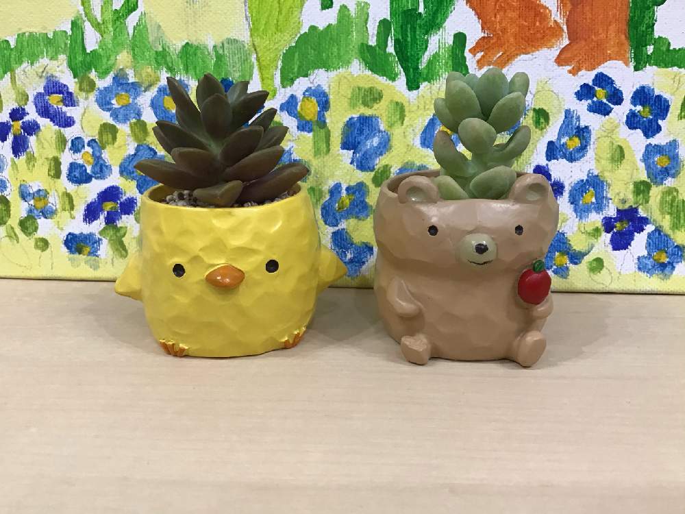 棚の画像 by ぷりんさん | 棚と ブロンズ姫と天使の雫と多肉植物とかわいすぎると紫色と仲良しとお友だちとひよこと緑色とくまちゃんと今日の多肉