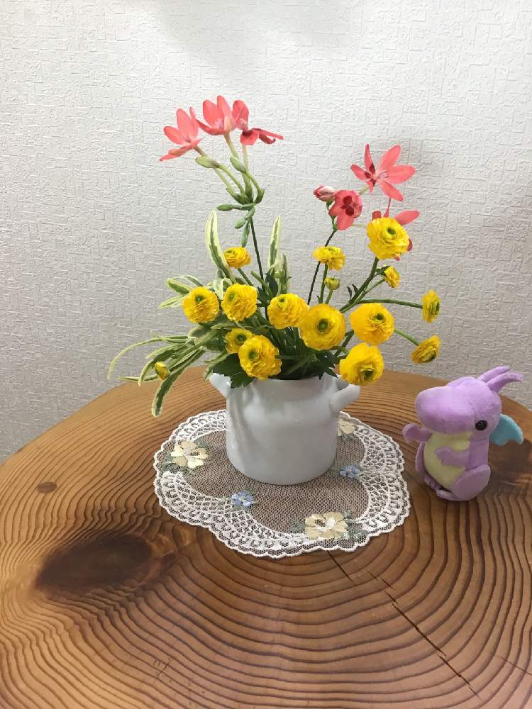 小さな庭の画像 by うたちゃんさん | 小さな庭とラナンキュラスゴールドコイン*と小さな アレンジとヒメヒオウギ♡とGS映えとGS日和とマスコット達