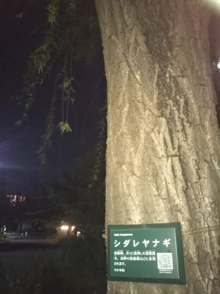 の画像 by ドッポさん♪さん | GSアナグラム
