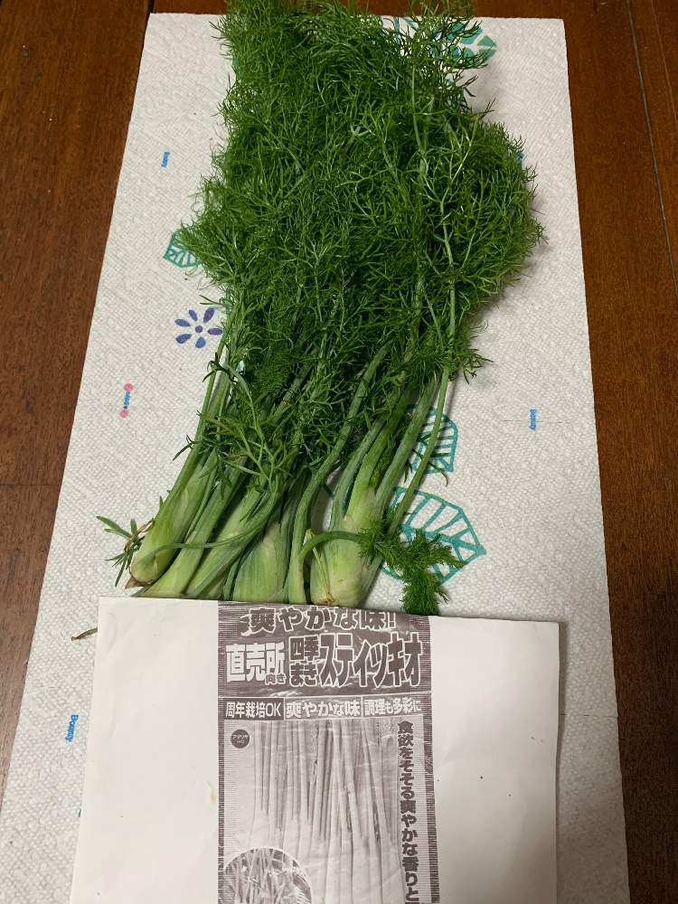 の画像 by くわまささん | スティッキオと無農薬野菜と初めての野菜と新鮮やさいとチーム愛知