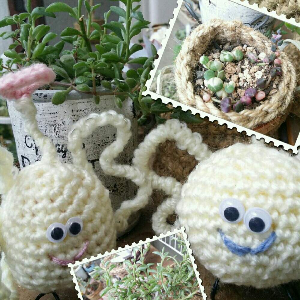 バルコニー/ベランダの画像 by ひとさん | バルコニー/ベランダと斑入りグリーンネックレスとドルフィンネックレスとエンジェル祭り
