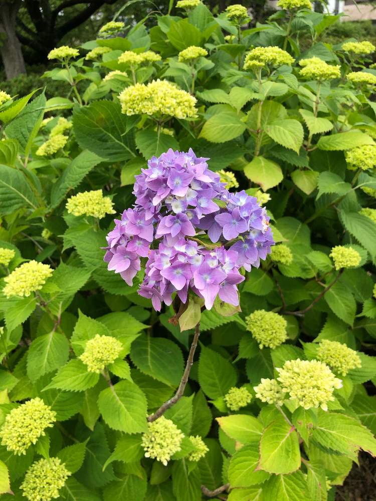 お出かけ先の画像 by まっさん!さん | お出かけ先と戸田川緑地公園