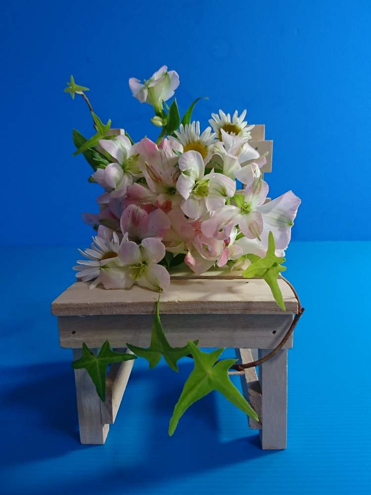 部屋の画像 by 野ニンさん | 部屋と令和最初の植物と出版とGS映えとおうちで飾るお花 とGreenSnapmarcheと花のある暮らし