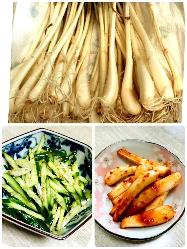 キッチンの画像 by ricoさん | キッチンとキュンキュン乙女倶楽部とGSミニモニ。とバラと夢CLUBとお料理しましたと家庭菜園奮闘日記とGSミニモニ。No.30