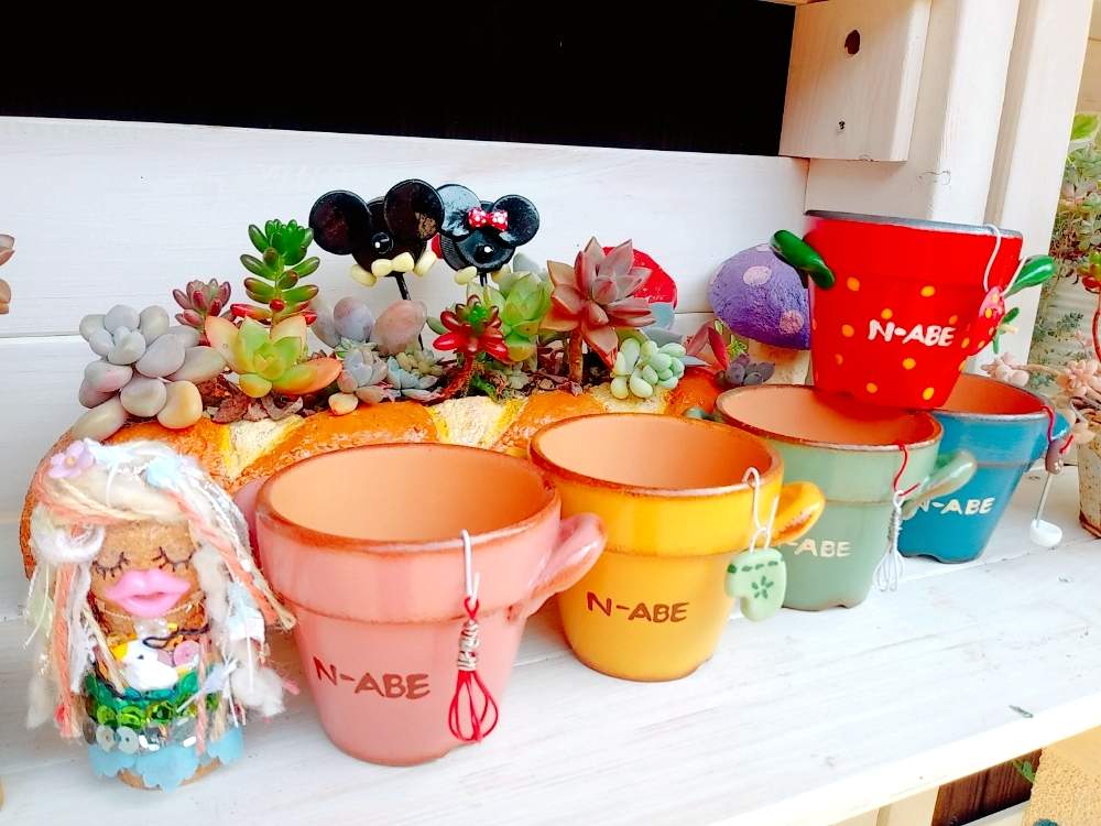 玄関の画像 by ちこりんさん | 玄関とアマビエと多肉植物寄せ植えとはるが来た!とバラと夢CLUBとたに倶楽部とつながりに感謝と#2020春のガーデニングとまかろんちゃんのN-ABEとおうちで過ごそうと#おうち園芸と花のある暮らしとHTC社員とたにおたくらぶとeriさんのコルクちゃん