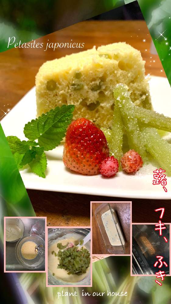 の画像 by kane flowerさん | イチゴとワイルドストロベリーとレモンバームとフキとおうちde菜園とおうち園芸と中ぐらいの庭と埼玉県と家庭菜園奮闘日記と無農薬有機栽培と無農薬 無化学肥料栽培