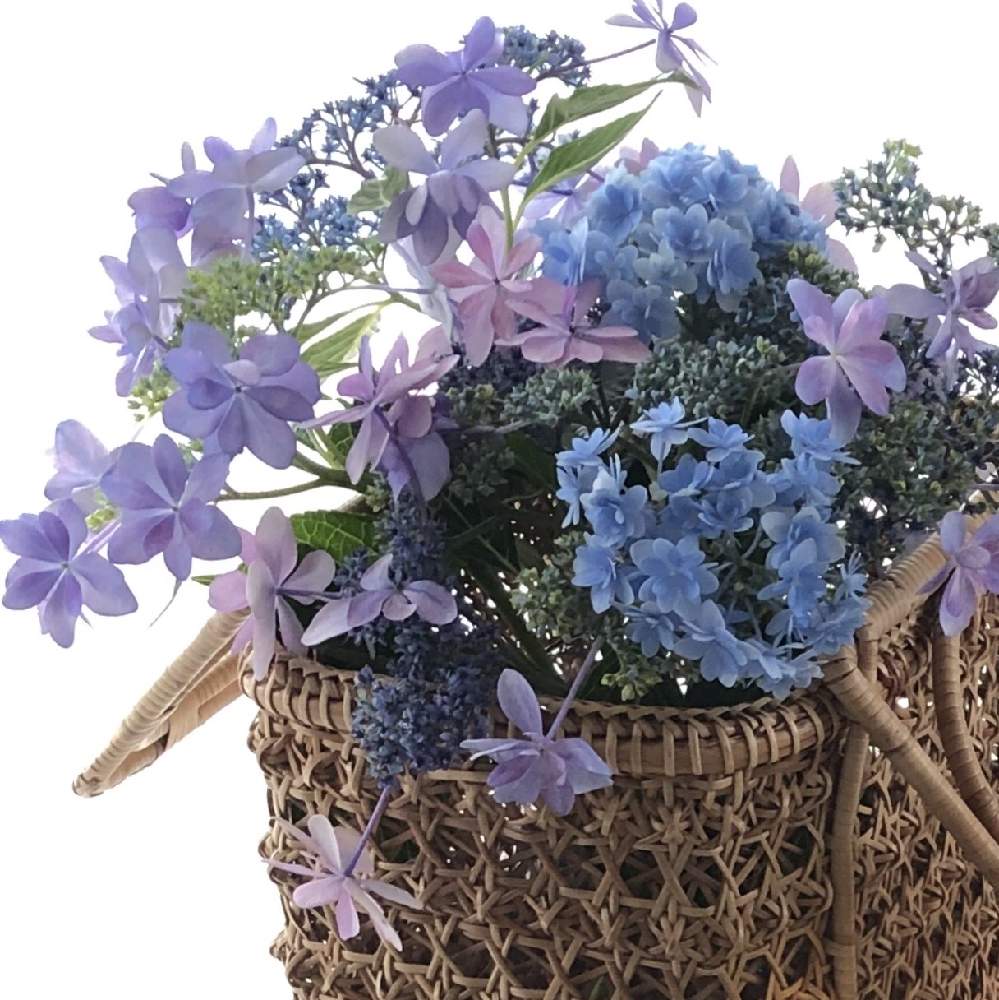 窓辺の画像 by * KL *さん | 窓辺と清涼感とpurpleと花を飾るとアレンジとおうちで飾るお花 と花のある暮らしとマンションと切り花とBlueと紫陽花が好き♡と紫陽花 アジサイ あじさいとPWフォトコン2020