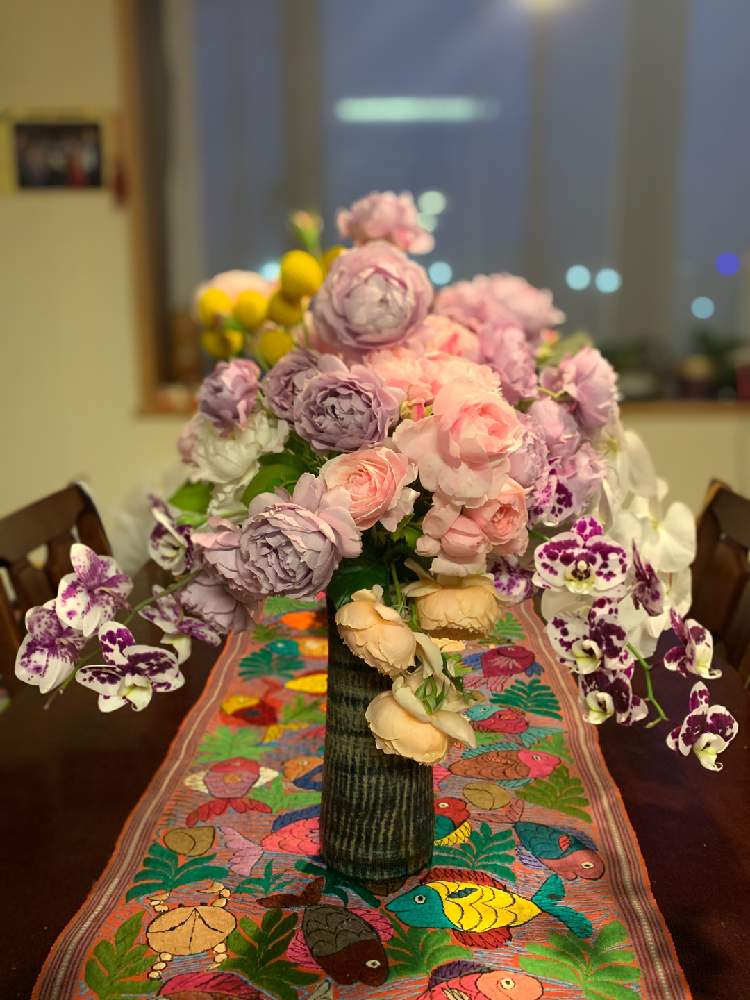 部屋の画像 by もす子さん | 部屋とワサワサとお気に入りとmy rose dardenとMy rose collectionとマイコレクションとおうち園芸と植中毒とおうちで飾るお花 といい香りと花のある暮らしと大好き❗️