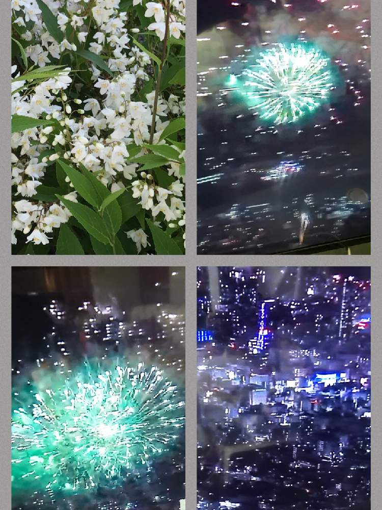 小さな庭の画像 by さっちさん | 小さな庭と花のある暮らしとおうち園芸と希望の花火