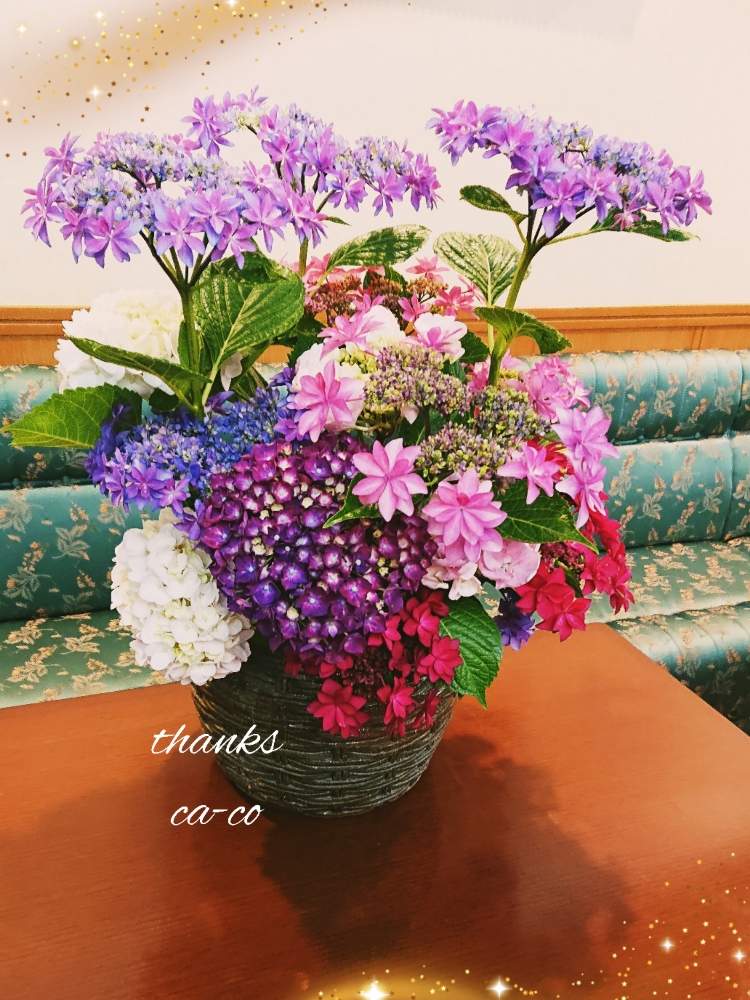 部屋の画像 by かぁこさん | 部屋と紫陽花 あじさい アジサイとありがとう♡とすてき…♡と感謝とおうち園芸とコロナに負けるな!とこんなときこそお花を飾ろうとコロナおしりペンペン( ・᷄ὢ・᷅ )としあわせ♡といけばなと花のある暮らしとかわいいな♡とGREEN UP!と癒し♡とコロナ消えろ‼ビーム‼