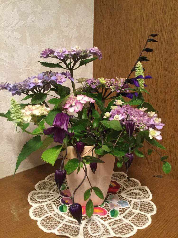 部屋の画像 by ミチさん | 部屋と温かい気持ち♡とコロナに負けるな日本と災害地の方々頑張れと頂き物の花と花のある暮らしとミッチーの会とミッチの会
