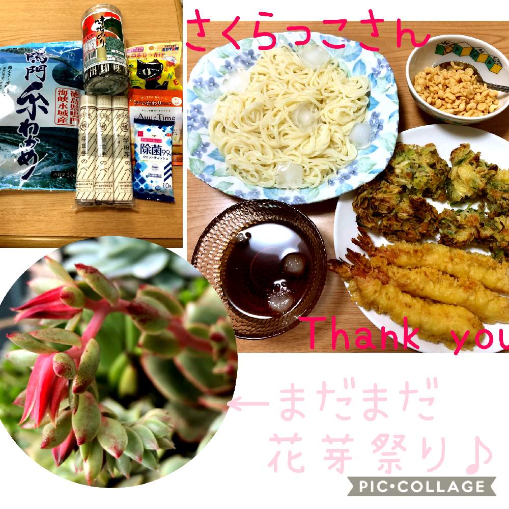 部屋の画像 by さちさん | 部屋と花のある暮らしと多肉女子とつながりに感謝