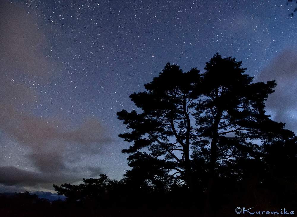 お出かけ先の画像 by 黒三毛さん | お出かけ先とアカマツと奥大井の星空と南アルプスの山々と樹木と風景・自然と星景