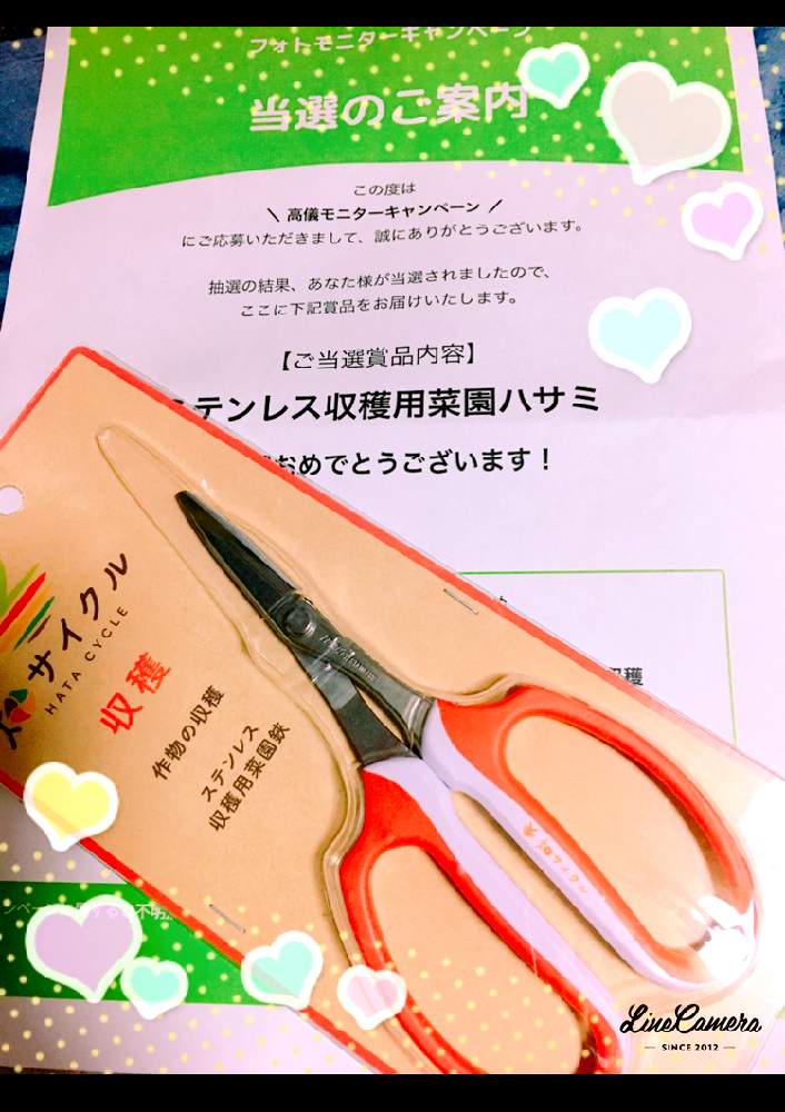 の画像 by ラ♡ミントさん | GS Lifeとフォトモニターキャンペーンとおうちde菜園とここちいい時間と高儀モニターキャンペーンと畑サイクルと畑サイクルステンレス菜園用収穫鋏と収穫と素敵な1日をとここちいい道具