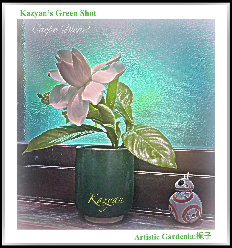 窓辺の画像 by Kazyanさん | 窓辺とクチナシの蕾とクチナシの花とBB-8 ロボとクチナシの香り⁉︎とクチナシの花♡と梔子 和堂と万葉の藪庭の花々 和堂と香り麗しいクチナシの花 和堂と八重咲きくちなし 和堂とCarpe Diem! 和堂とクチナシ 和堂と詩歌と花器の色々 和堂とくちなしシリーズ 和堂と生花シリーズ 和堂