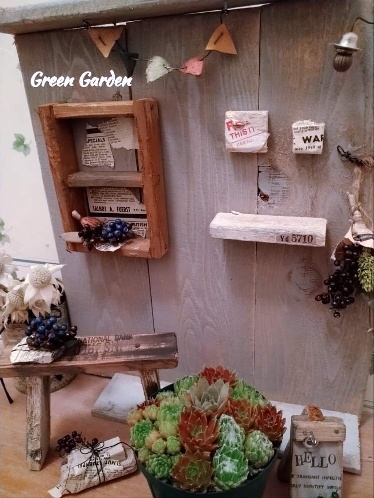 部屋の画像 by GreenGardenさん | 部屋と多肉植物とミニチュアとセンペルビウム属と今日の一枚と多肉好きとAyumiさんのWS