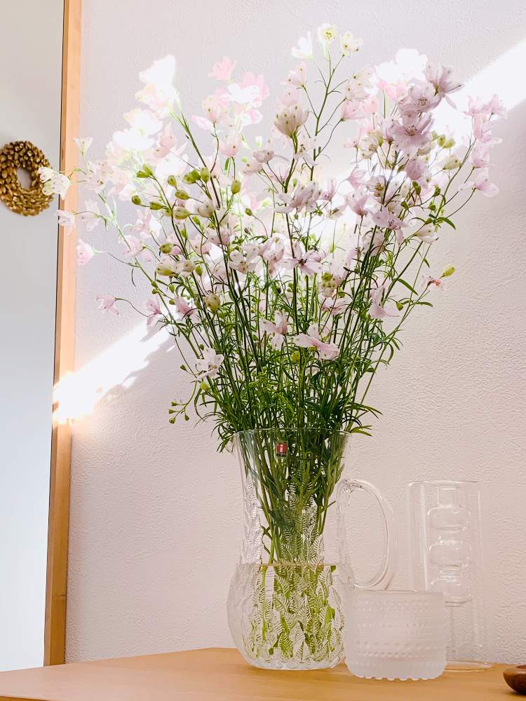玄関の画像 by Flower✴︎さん | 玄関と素敵なお出迎え♡と華やかとピンクとグッドアングル♡と玄関ディスプレイと花のある暮らしとかわいいと元気✨と素敵インテリア♡と癒し♡と可愛い♡