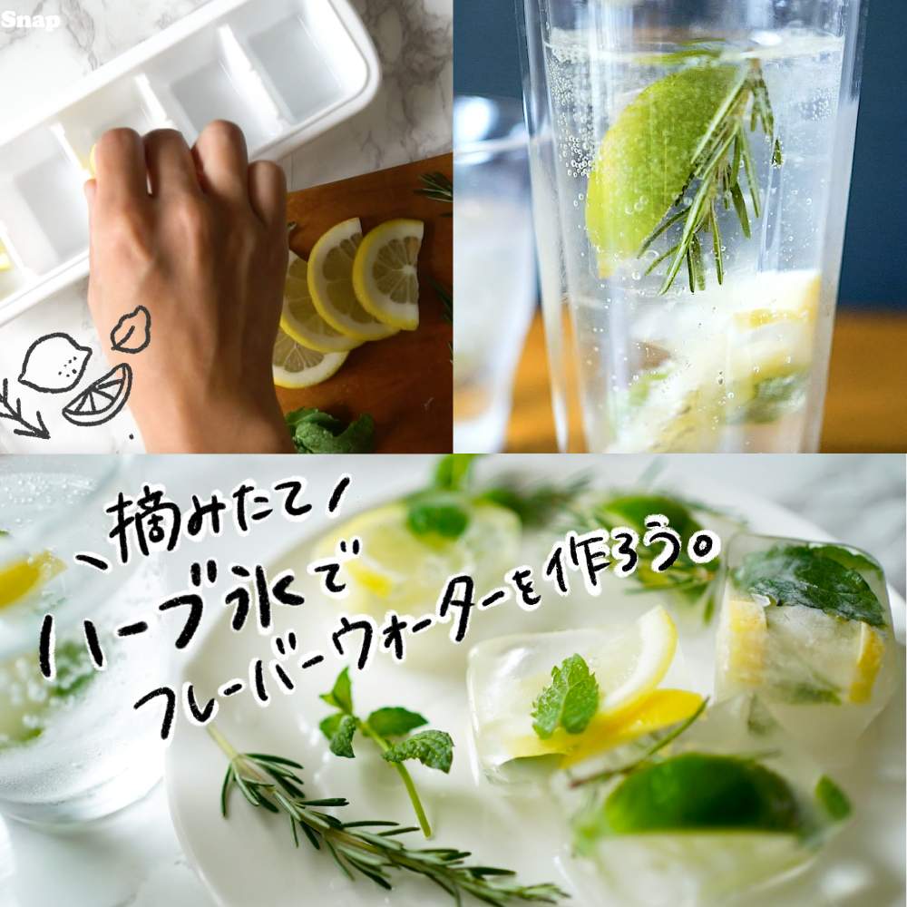キッチンの画像 by GreenSnap公式さん | キッチンとハーブ氷とおうちde菜園とおうち園芸とハーブとDIY