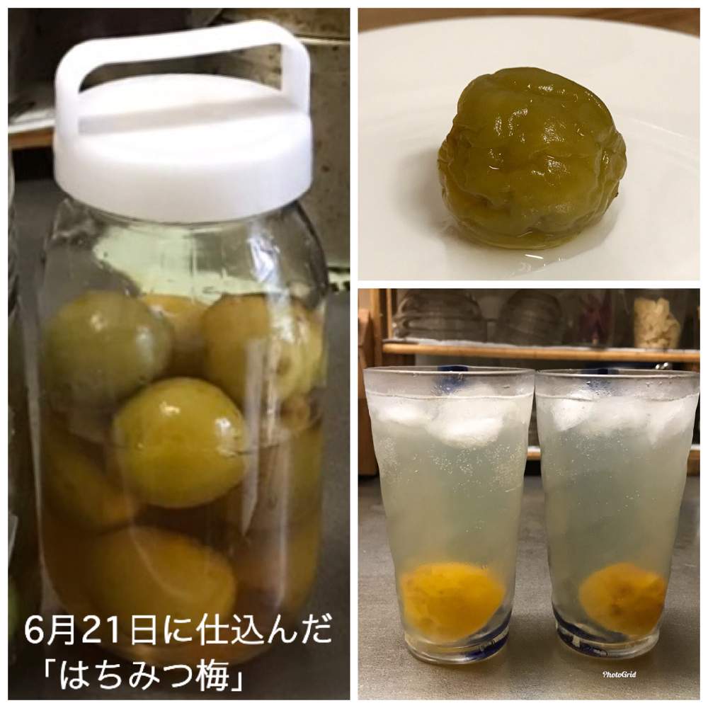 の画像 by 週末だけ野良人ISOさん | うめと家庭菜園と家庭果樹と家庭菜園奮闘日記とチーム岐阜