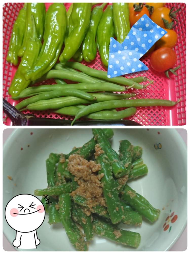 畑の画像 by 苺さん | 畑とプランター菜園と収穫物とプランター野菜といんげんの栽培とプランターと家庭菜園とおうちde菜園とおうち園芸と種蒔き栽培と収穫とプランター植え