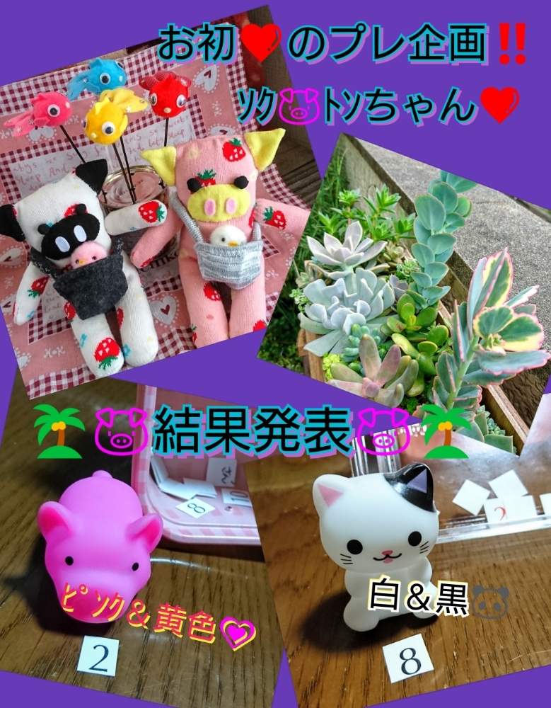 玄関の画像 by のりっぺさん | 玄関とエケベリア トプシータービーとカランコエ 胡蝶の舞錦とパキセダム キャンディグレープとカランコエ マルニエリアナと今を乗切るぞ!と遂に梅雨入り(^o^;)と雨にもコロナにも負けず!とそろそろ梅雨かな…(^-^)/とソクトンちゃん♥️と花のある暮らしと多肉ちゃん初心者と金魚ちゃん♥️と楽しい園芸o(^o^)oとバルコニストとのりっぺ's ソクトンちゃん♥️