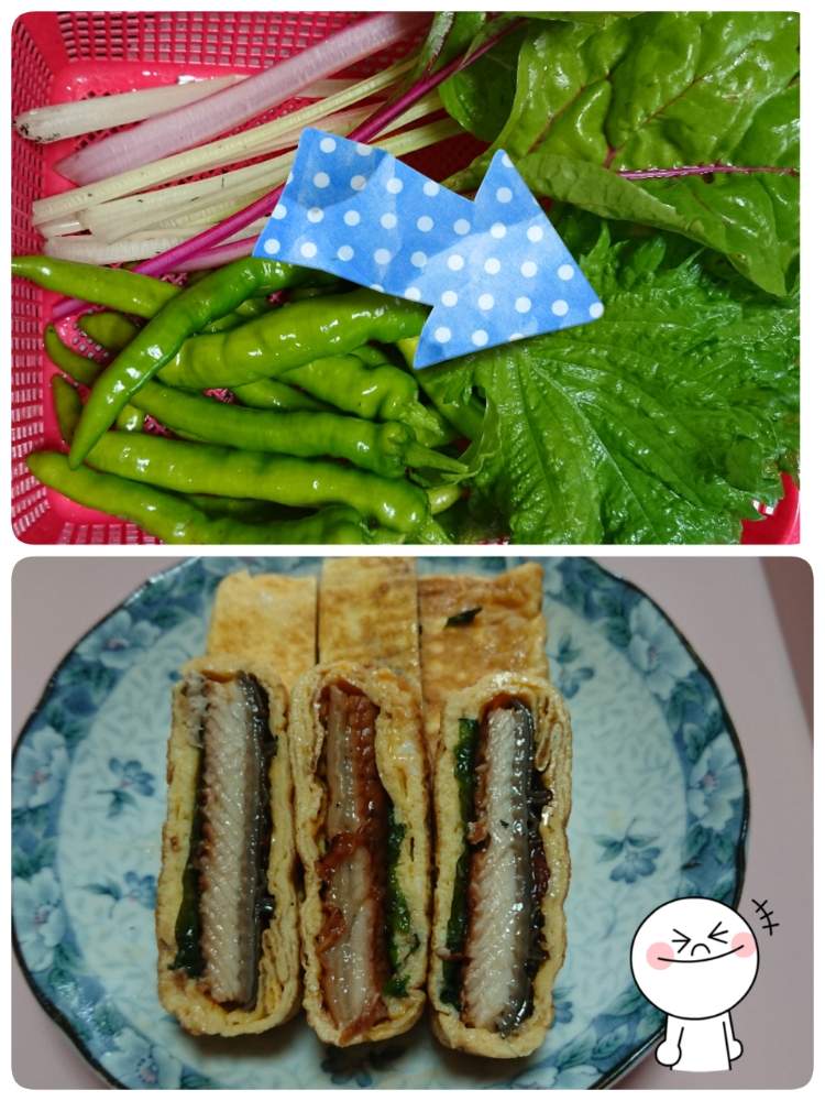 畑の画像 by 苺さん | 畑とプランター菜園と収穫物とプランター野菜とプランターと家庭菜園とおうちde菜園と紫蘇の栽培とおうち園芸と種蒔き栽培と収穫とプランター植え