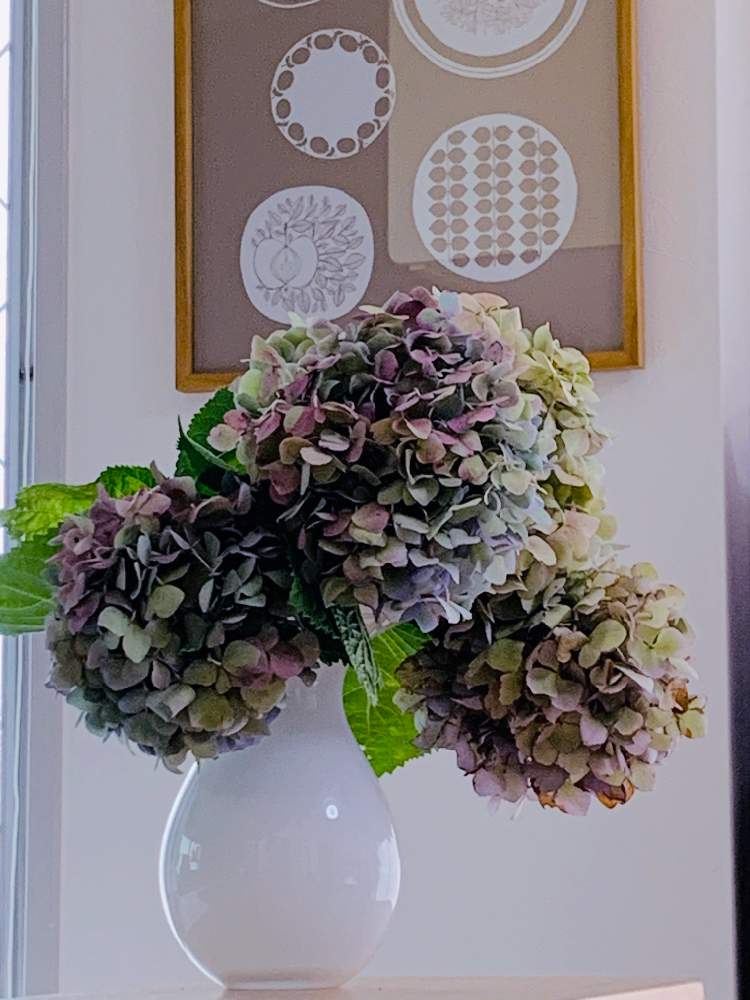 キッチンの画像 by Flower✴︎さん | キッチンとくつろぎと華やかとGS映えとPWフォトコン2020と紫陽花 アジサイ あじさいとグッドアングル♡とリビングと北欧と感謝♡ありがとう♡と花のある暮らしとかわいいと元気✨と素敵インテリア♡と癒し♡と可愛い♡