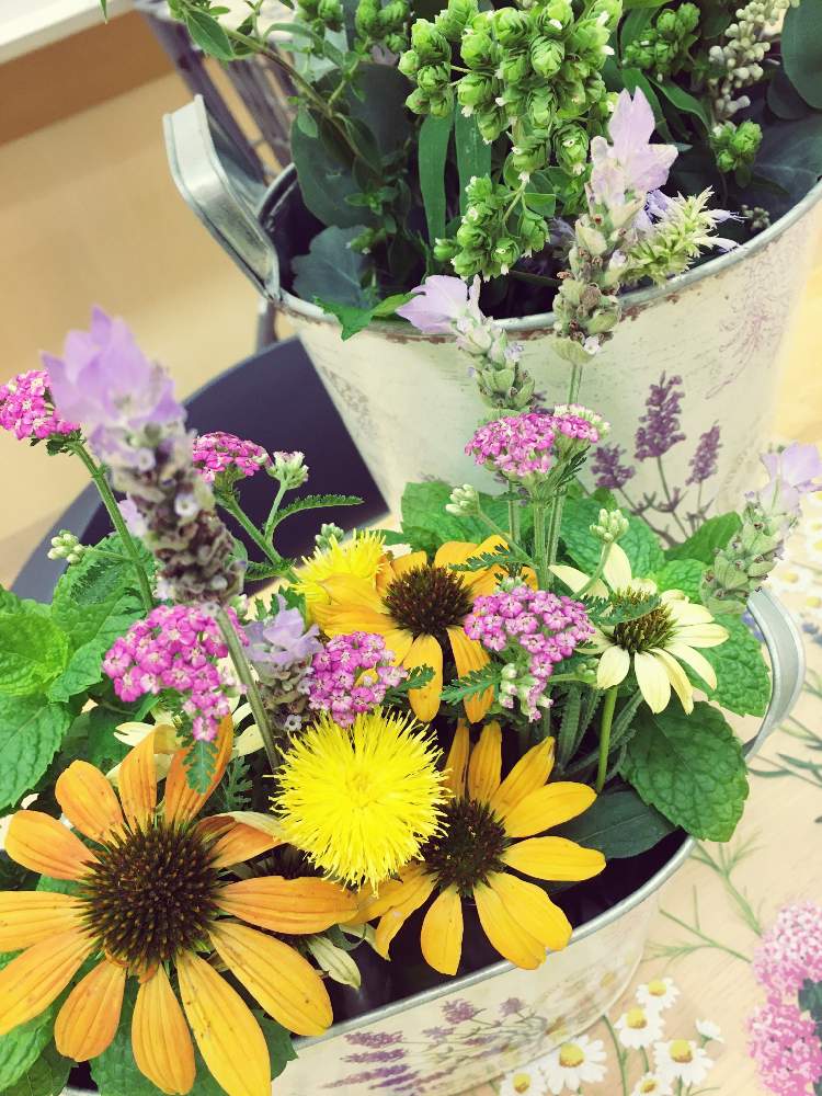 の画像 by herbさん | 摘みたてハーブと花を飾ろう♪とハーブの有る暮らしとハーブ収穫と暮らしに花を