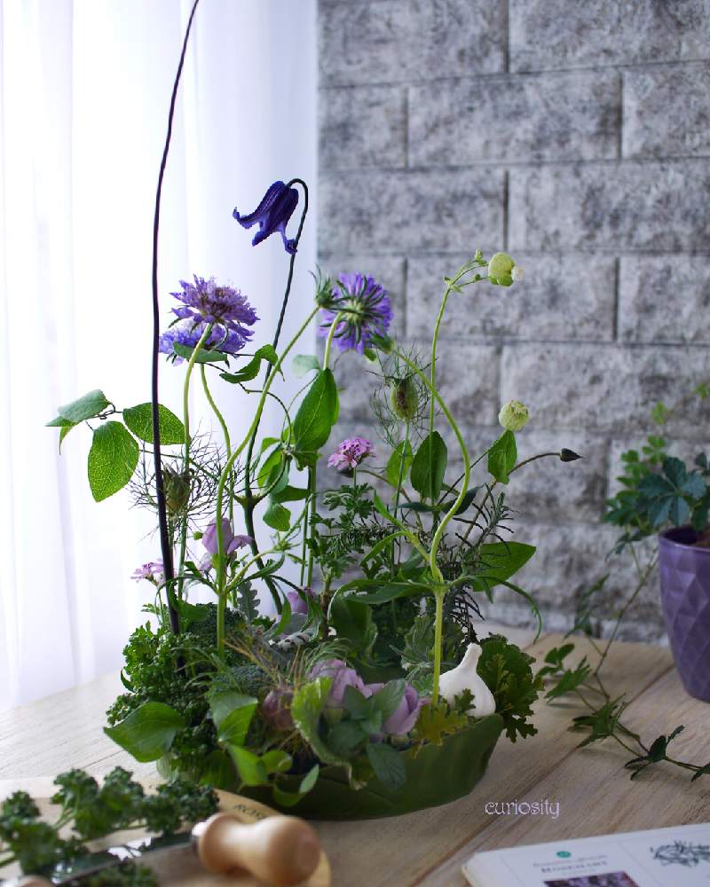 の画像 by Curiosity Flower Design Studioさん | パセリとブロッコリーとにんにくとフラワーアレンジメントとキッチンガーデンとテーブルリース