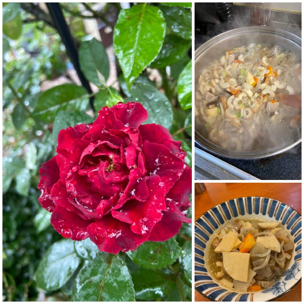 小さな庭の画像 by ななちちさん | 小さな庭とオマージュ・ア・バルバラとバラタニランと薔薇愛同盟とコロナの馬鹿と薔薇男子と薔薇に魅せられてとななちち薔薇2020とおうち園芸と植中毒と手づくりの庭とガーデニングとGSでバラ園と花のある暮らしと薔薇♪とロザリアンとコロナのバカ