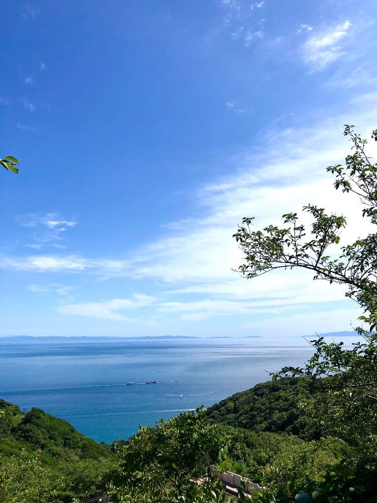 お出かけ先の画像 by スワンさん | お出かけ先とプチ登山とよい 1日をと須磨