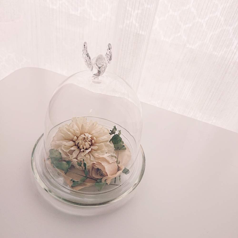 インテリアの画像 by ふくろうねこさん | インテリアとダリアとユーカリと薔薇とメルヘンチックと花のある暮らしと白い花とドライフラワ―とインテリアグリーンとフラワーアレンジメント