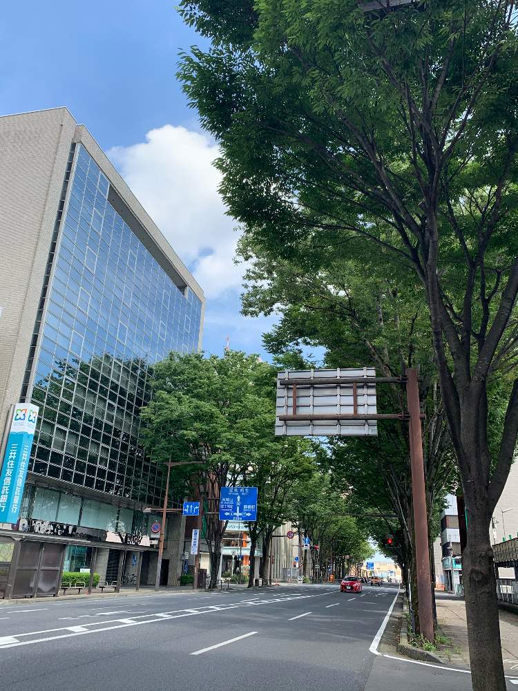お出かけ先の画像 by 有限会社スリーフラワーさん | お出かけ先とケヤキと本庄市と前橋市と埼玉ンズ倶楽部と園芸店とGSのみなさんに感謝♡と今日の一枚と美しいとご近所と埼玉県とフラワーギフトと群馬県とスリーフラワーとけやき並木