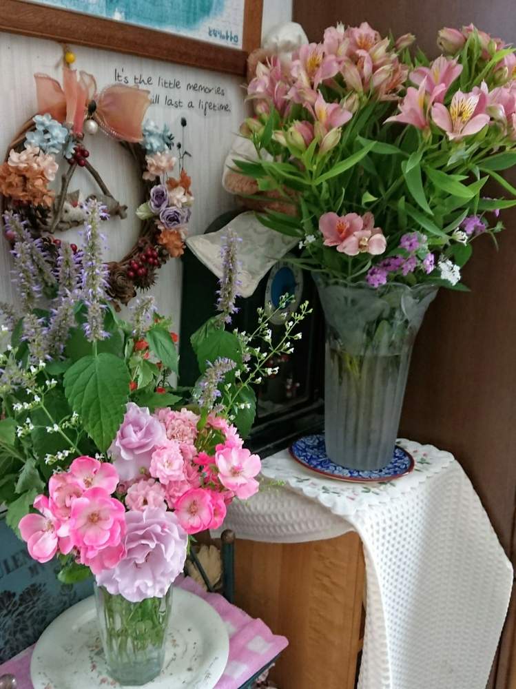 玄関の画像 by のりりんの森さん | 玄関とカラミンサとヒソップと薔薇 アンジェラとスプリングピクシーと薔薇 エターナルとアルストロメリアとふっかちゃんコバランタナと優しい花色とキュンキュン乙女倶楽部と庭のお花達と元気なお花達