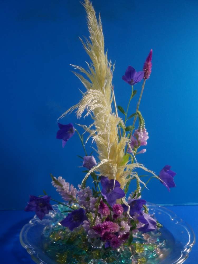 部屋の画像 by 野ニンさん | 部屋と令和最初の植物と出版とGS映えとおうちで楽しむ夏の草花フォトコンとGreenSnapmarcheと花のある暮らしとGREEN UP!
