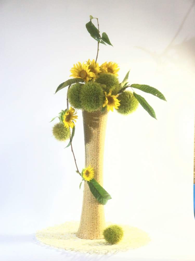 部屋の画像 by 野ニンさん | 部屋と令和最初の植物と出版とタイトルとGS映えとおうちで楽しむ夏の草花フォトコンとGreenSnapmarcheと花のある暮らし