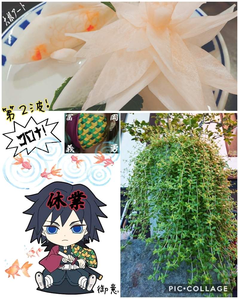 の画像 by M!HOさん | ボケと大根とM.
行 event 事とちら見☆偵察と職 workplace 場