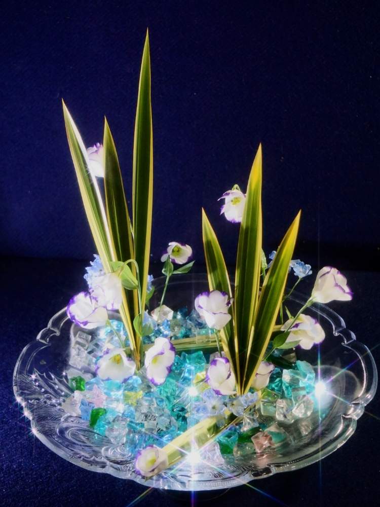 部屋の画像 by 野ニンさん | 部屋と令和最初の植物と出版とタイトルとGS映えとおうちで楽しむ夏の草花フォトコンとGreenSnapmarcheと花のある暮らしとGREEN UP!