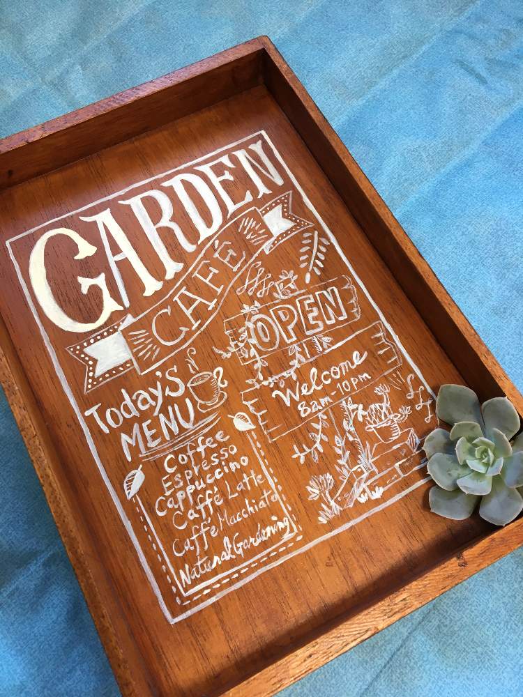 部屋の画像 by しーちゃんさん | 部屋とエケベリア属 ルンヨニーと野菜栽培好きと犬好きとおうちde菜園とおうち園芸と雑貨好きと植中毒と多肉女子とタニラーと花のある暮らし
