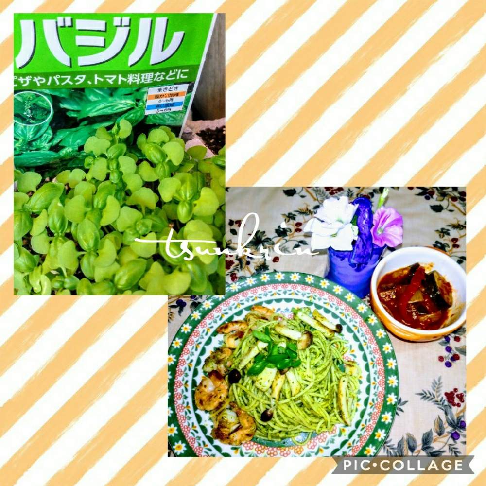 キッチンの画像 by つんくりんさん | キッチンとハーブ料理と暑い夏とおうちde菜園と夏野菜収穫物2020とおうち園芸と緑のある暮らしとおいしいと暑い季節とテーブルフラワーとペチュニア☆と花のある暮らしとバジル♪