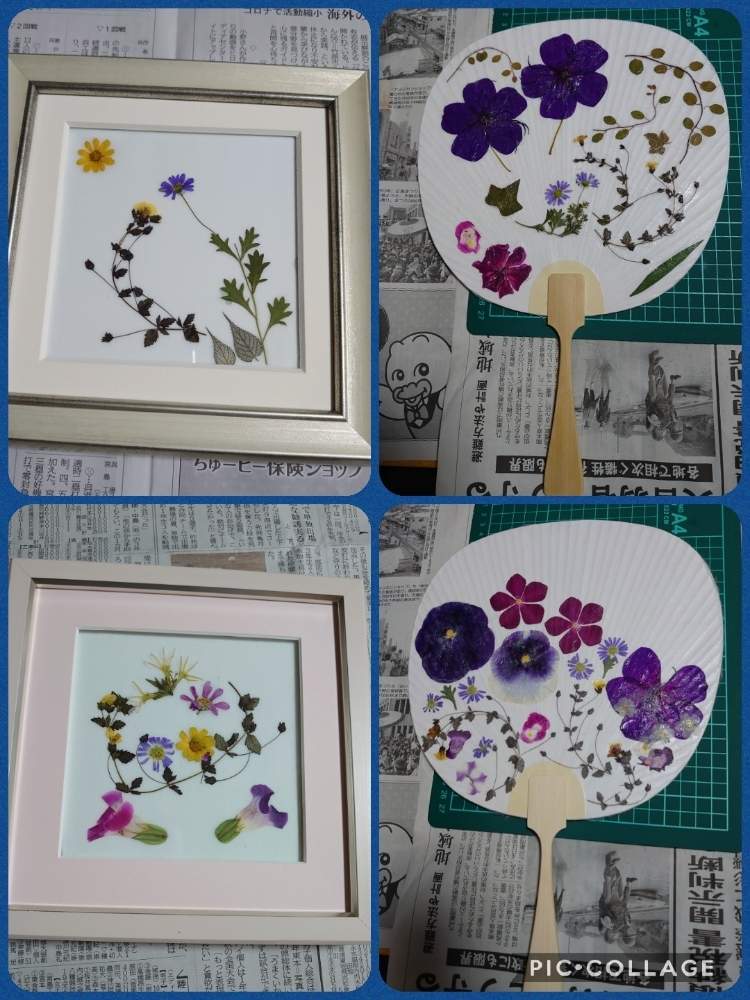 キッチンの画像 by 天空のバラの五線譜さん | キッチンと押花と花色癒しと幸せな日