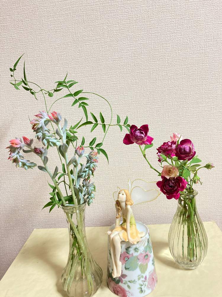 部屋の画像 by まぁ!さん | 部屋とハゴロモジャスミンとトップシータービーとトップスプレンダーとなんちゃって生け花・アレンジと薔薇に魅せられてとおうち園芸とおうちで楽しむ夏の草花フォトコンと花のある暮らしと素敵色と多肉初心者