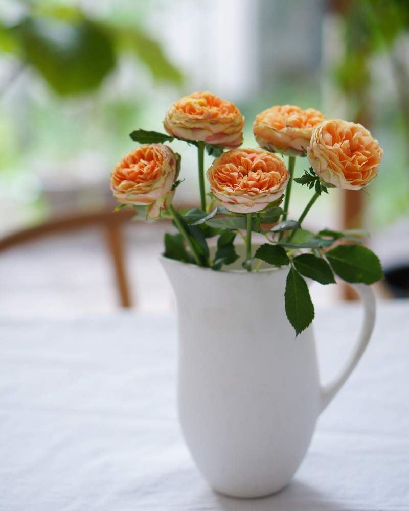 部屋の画像 by norimmekkoさん | 部屋とバラと薔薇とバラ、薔薇、ばらとお花を楽しむとばら バラ 薔薇とオレンジ色の花とおうち時間と花と暮らすとweekendflowerアンバサダーと花を飾ると癒しの空間と暮らしを楽しむと今日のお花と暮らしに花をとオレンジのバラとリビングと花のある暮らしとweekendflowerと切り花とダイニングテーブル