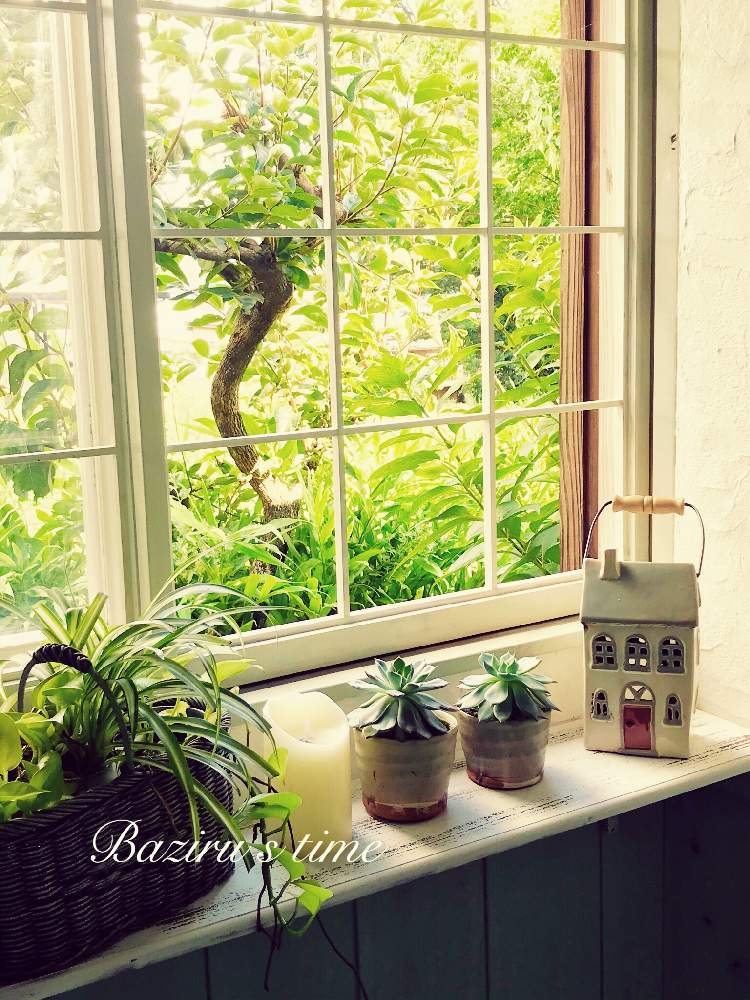 窓辺の画像 by ☆*:.バジル .:*☆さん | 窓辺と9月の朝とキャンドルスタンドと暮らしを楽しむといやし♡と多肉の季節と好きな場所と暮らしを整えるとエケベリア オリンピアとエケベリア 桃太郎