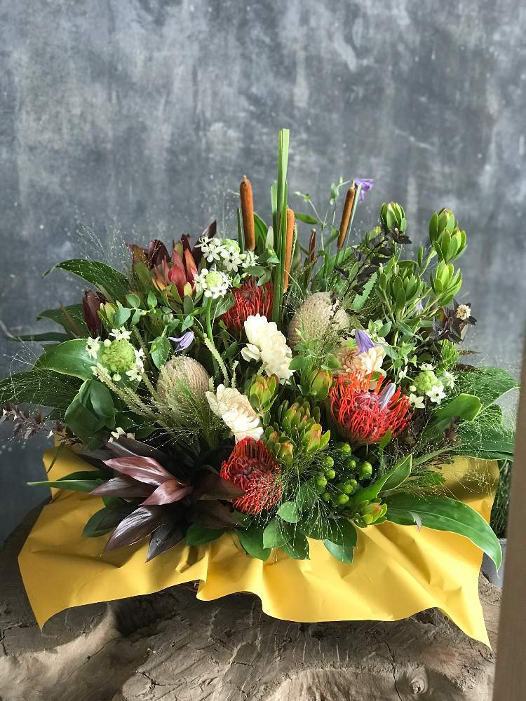 小さな庭の画像 by 蔵の花屋コトハさん | 小さな庭とドライフラワーのある暮らしと東京都立川市とおうちを彩る花と生花と蔵の花屋とドライフラワーアレンジと花屋とフラワーアレンジメントと花のある暮らしと立川と立川市砂川町