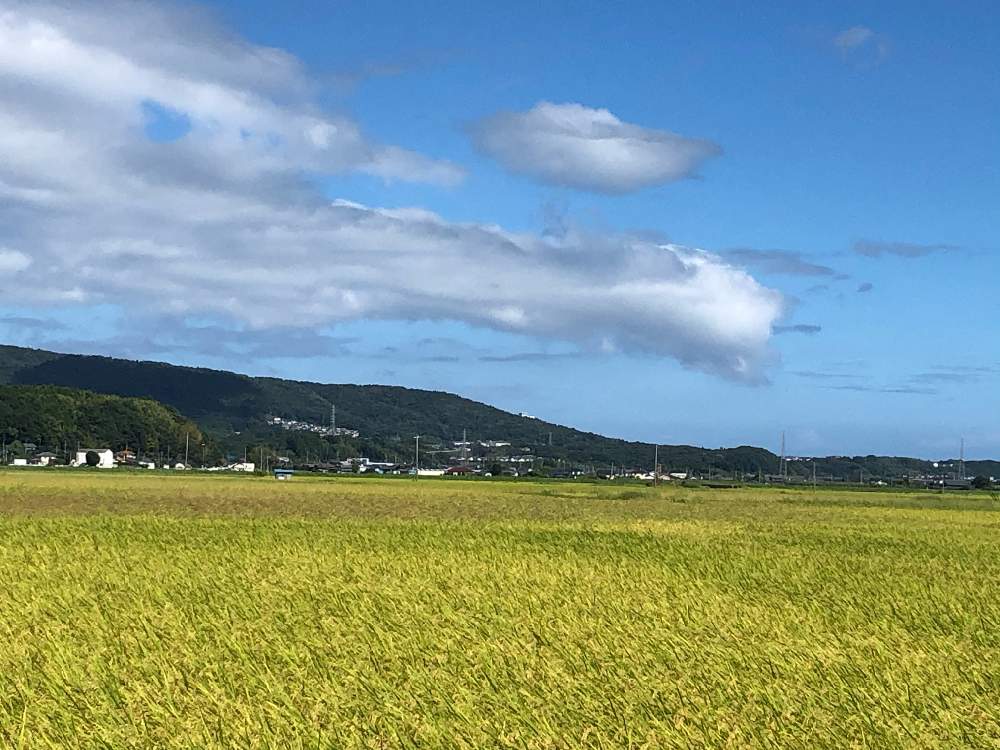 お出かけ先の画像 by たまごやきさん | お出かけ先と花のある暮らしと外出先にて